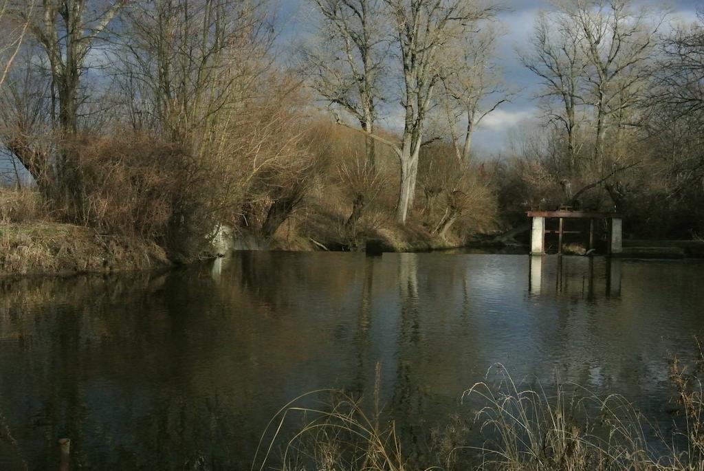 Penzion U řeky Vojkovice  Exterior foto