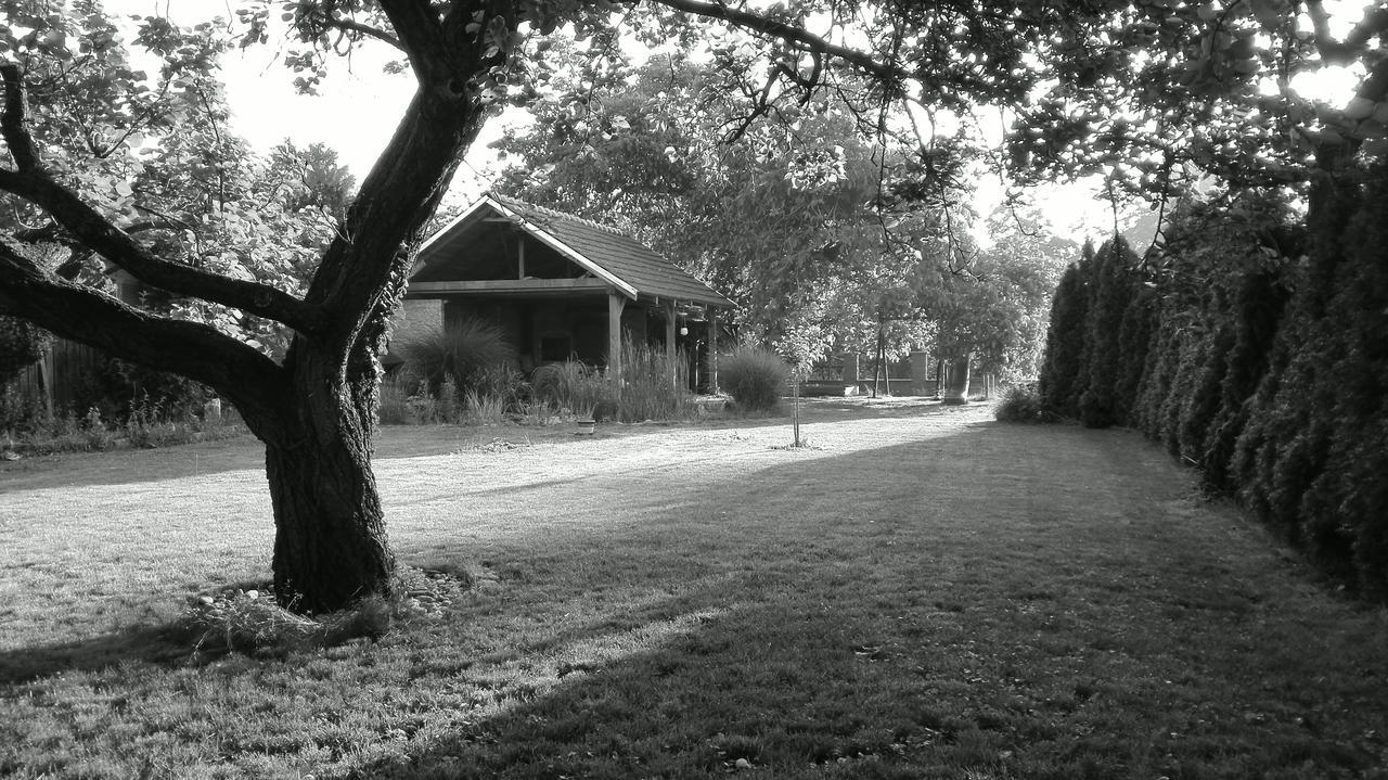Penzion U řeky Vojkovice  Exterior foto